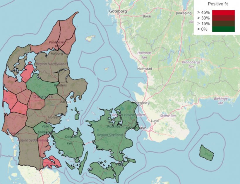 Figura 1: Prevalenza (%) di allevamenti&nbsp;danesi con status&nbsp;di salute positivo alla PRRS per regione a gennaio 2025
